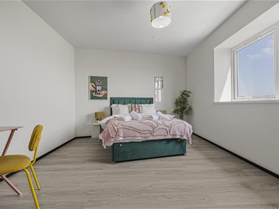 Picture 10